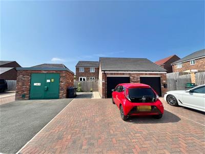 Picture 20